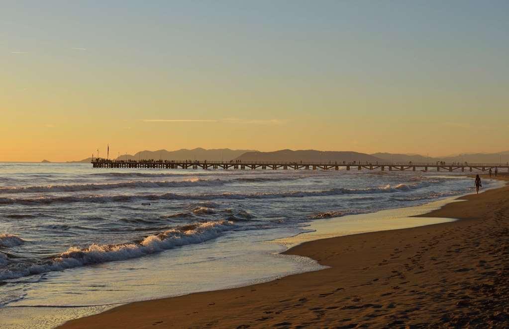 Villa Roma Imperiale Forte dei Marmi Natur billede