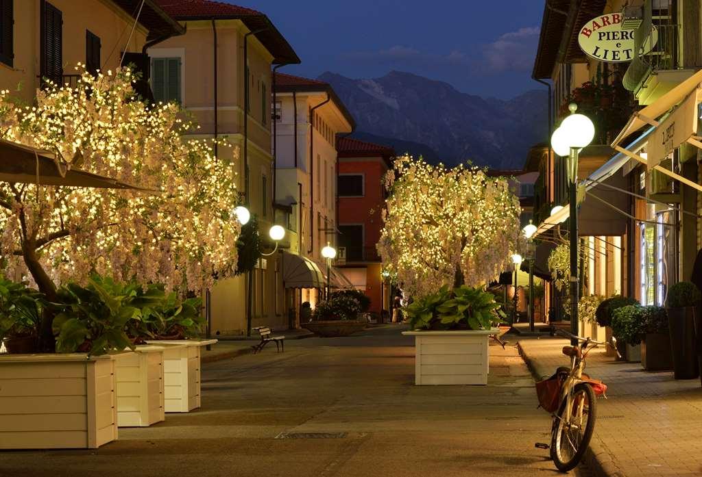 Villa Roma Imperiale Forte dei Marmi Faciliteter billede